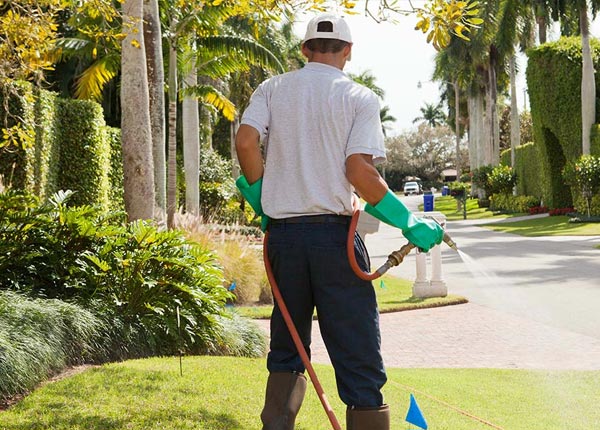 About Fairborn OH Pest Control